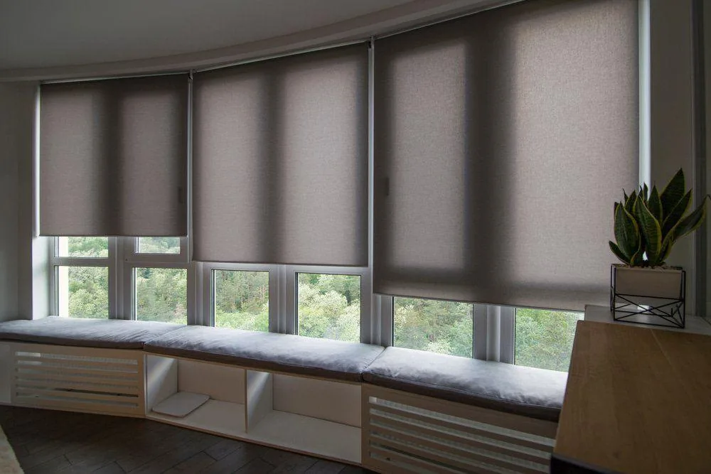 Plantation shutters fitted to a window in a Brisbane home