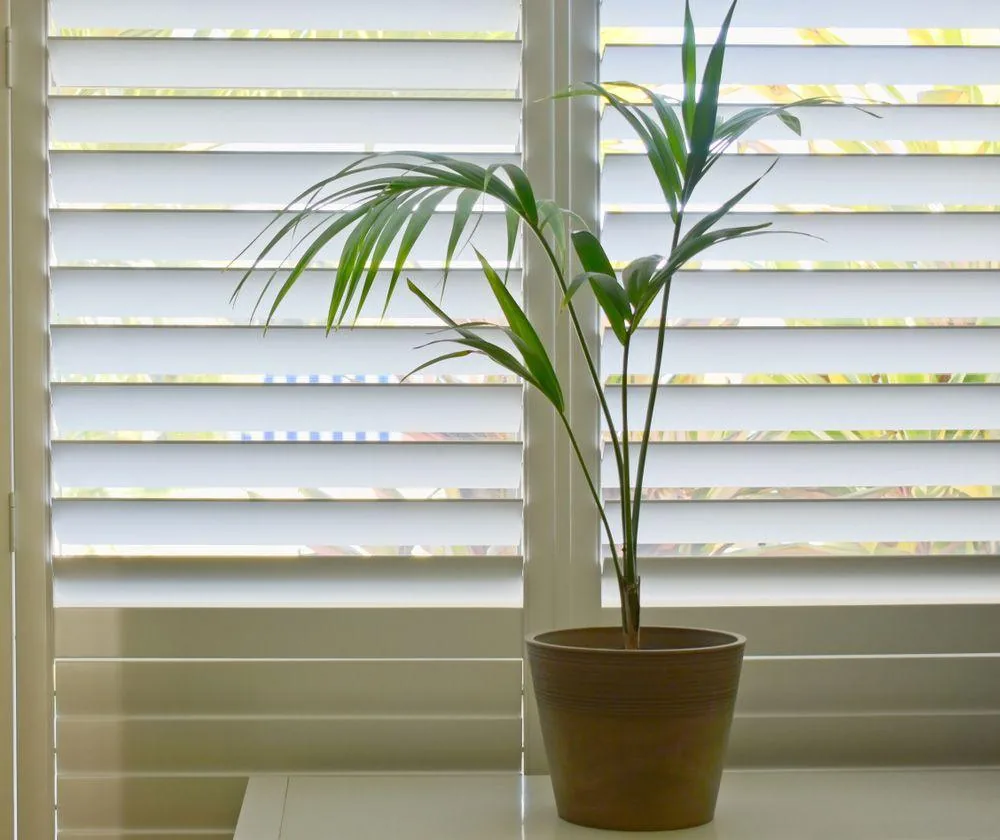 Window furnishings by Studio Curtains & Blinds, Brisbane