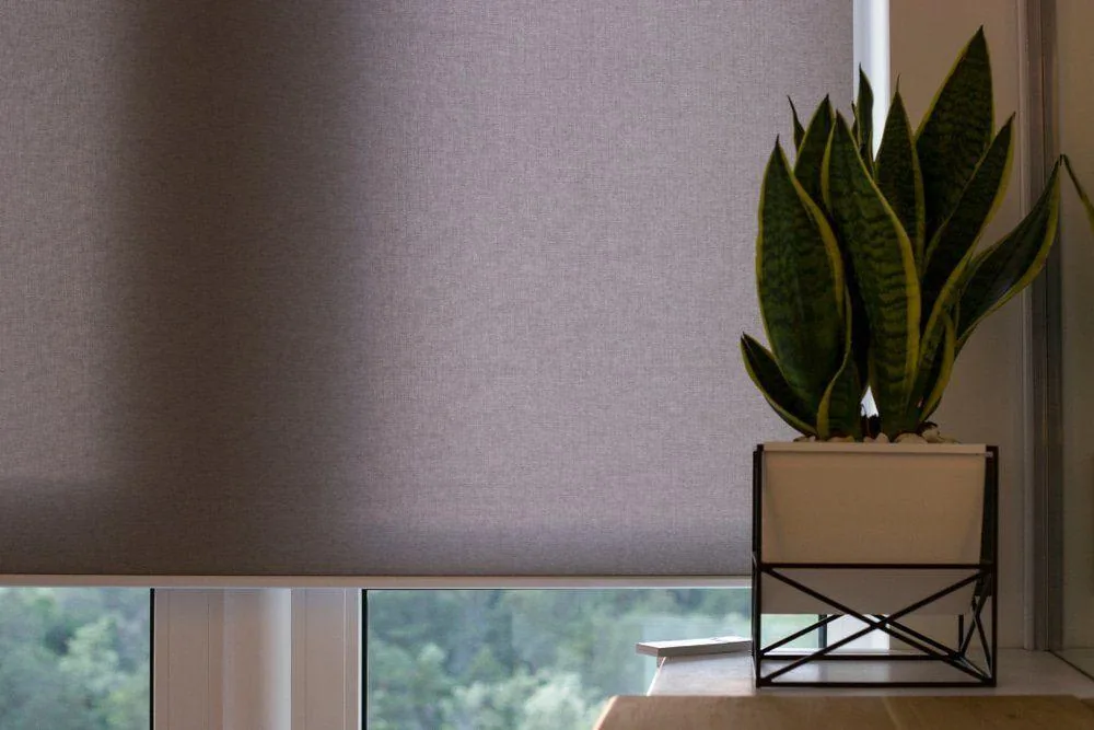 Motorised blinds by Studio Curtains & Blinds, Brisbane