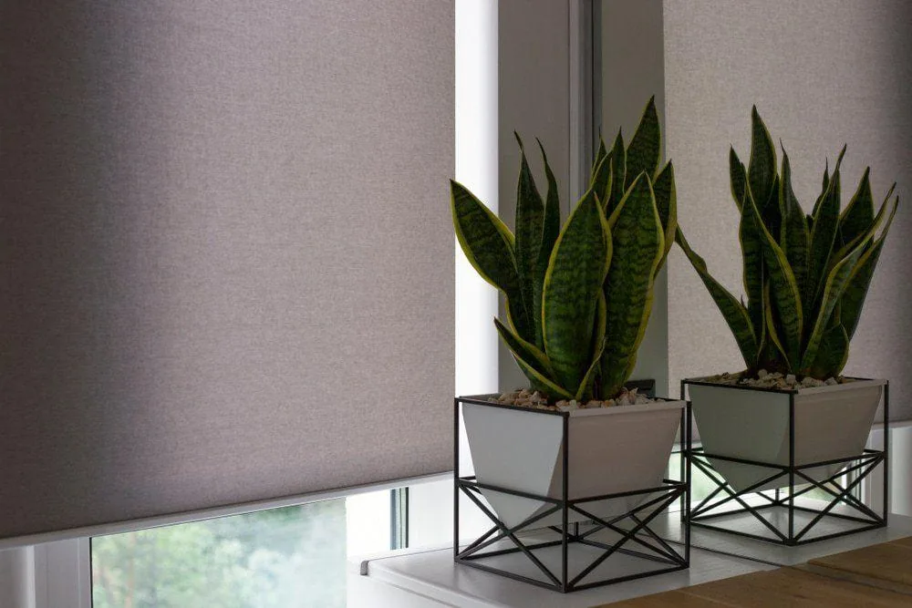 Motorised blinds by Studio Curtains & Blinds, Brisbane