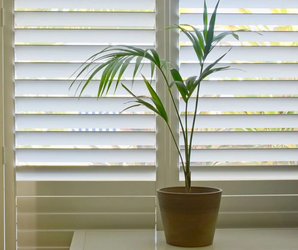 Close view of shutter louvres angled against daylight